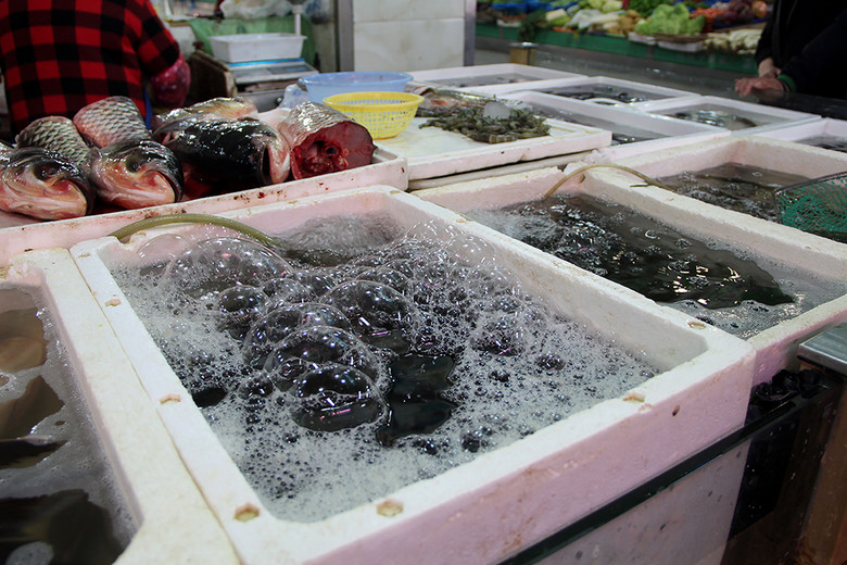 菜市場(chǎng)生鮮水產(chǎn)魚(yú)類(lèi) 從市井煙火到餐桌美食的鮮活圖景