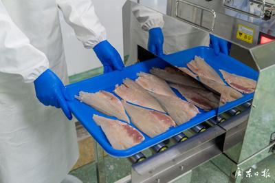 開辟“預制菜”新賽道，大黃魚游向水產品市場藍海